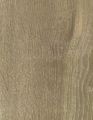 Lamināts Gamme DOMOFLOOR - 401 - Oak Spanija